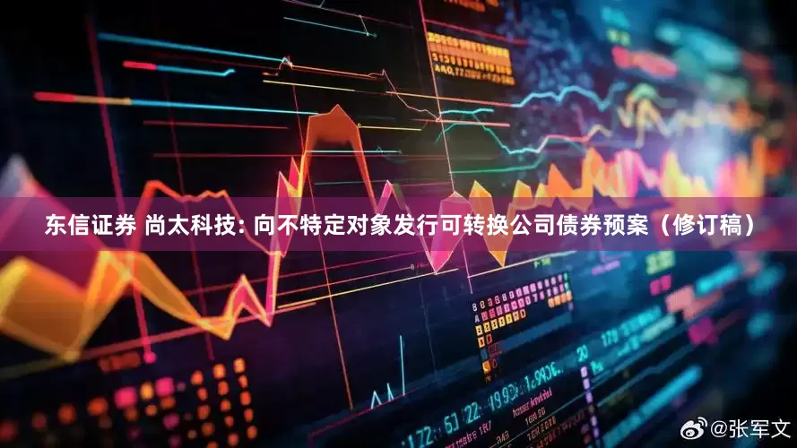 东信证券 尚太科技: 向不特定对象发行可转换公司债券预案（修订稿）